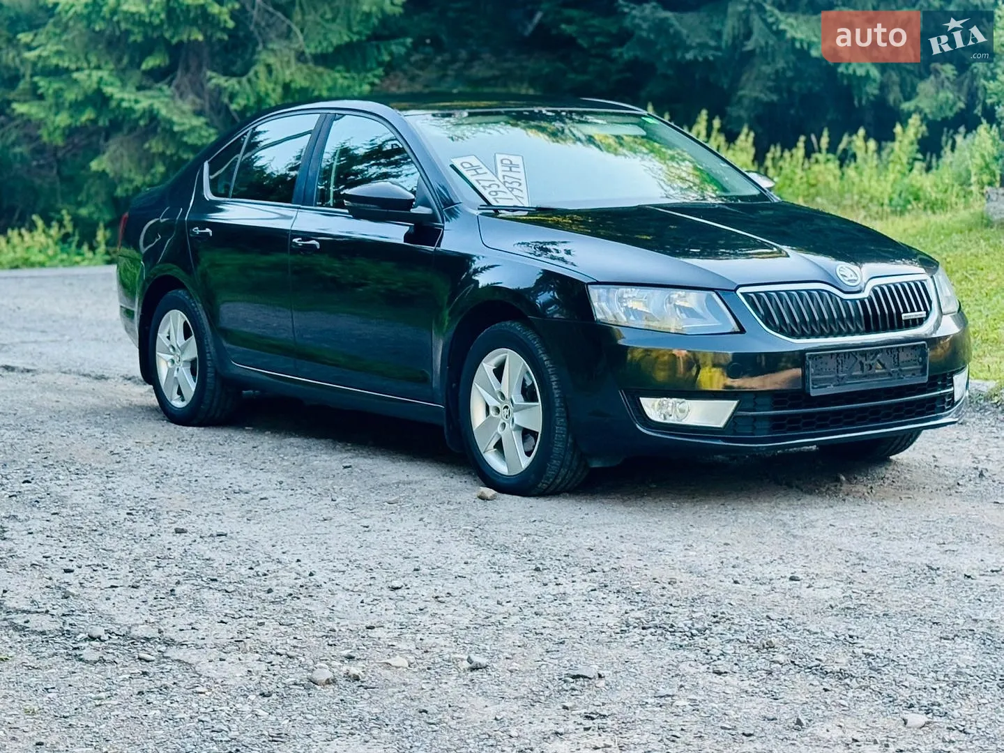 2013 Skoda Octavia - мініатюра 3