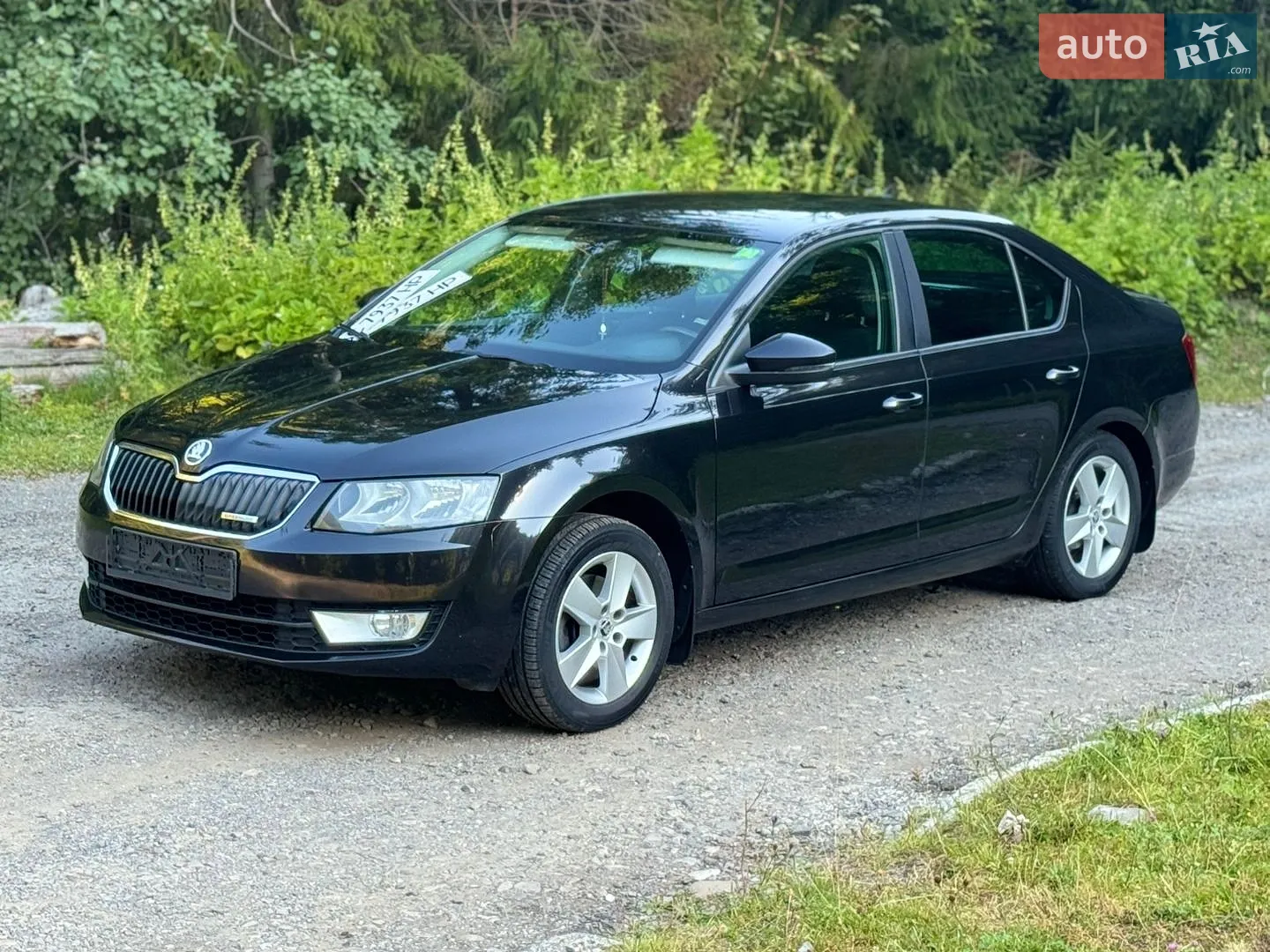 2013 Skoda Octavia - мініатюра 5