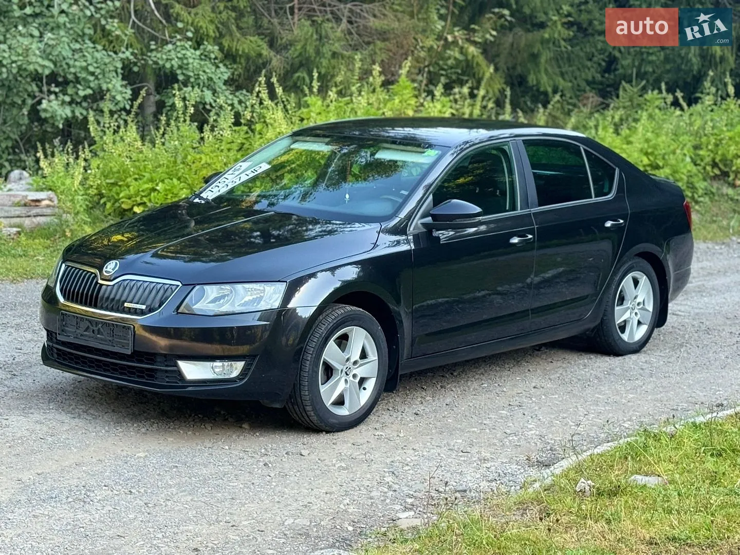 2013 Skoda Octavia - мініатюра 6