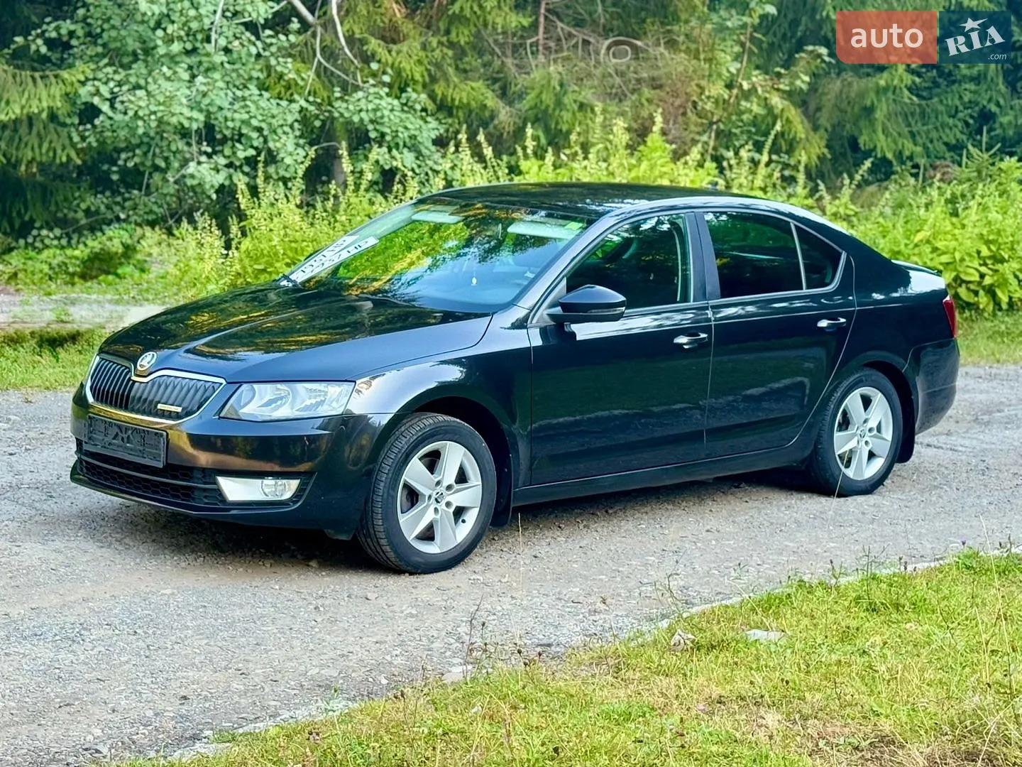 2013 Skoda Octavia - мініатюра 7