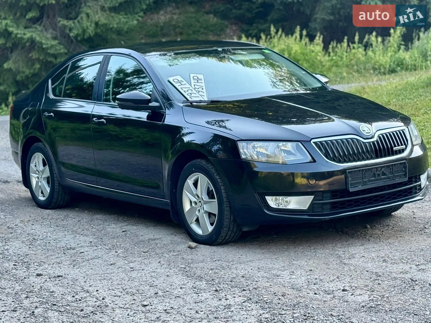 2013 Skoda Octavia - мініатюра 9