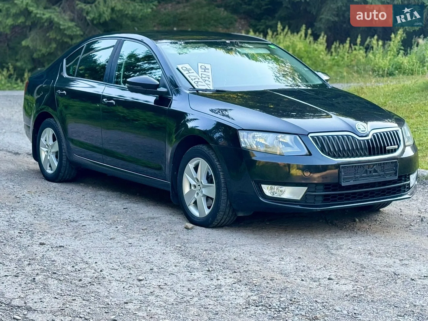 2013 Skoda Octavia - мініатюра 10