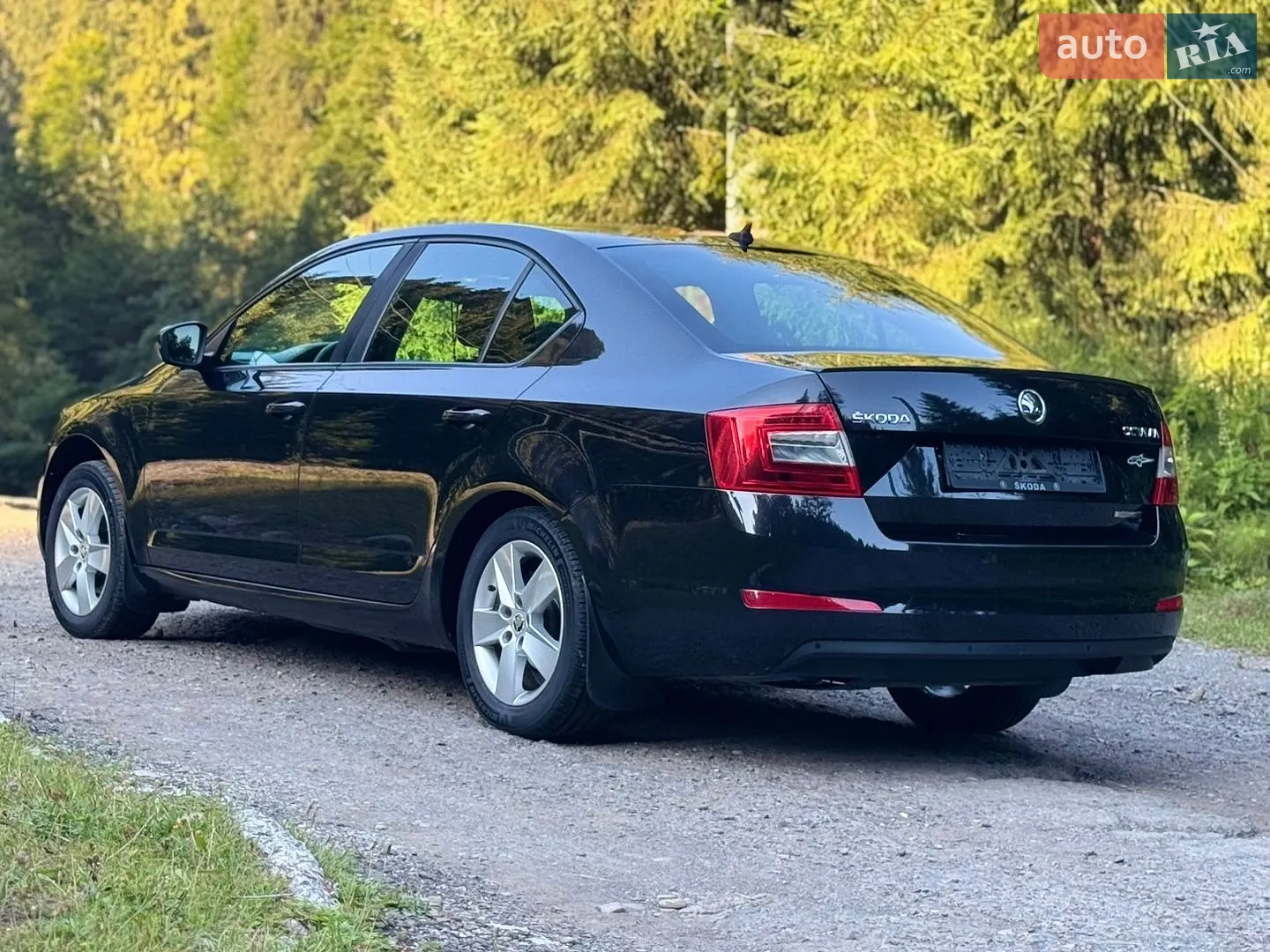 2013 Skoda Octavia - мініатюра 13