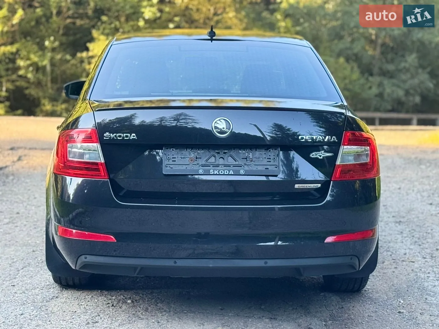 2013 Skoda Octavia - мініатюра 15