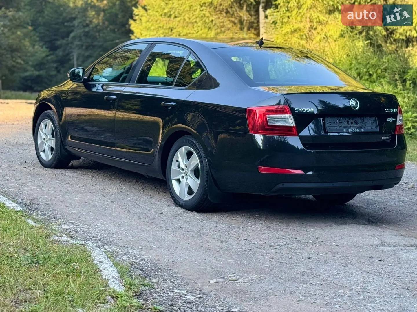 2013 Skoda Octavia - мініатюра 14