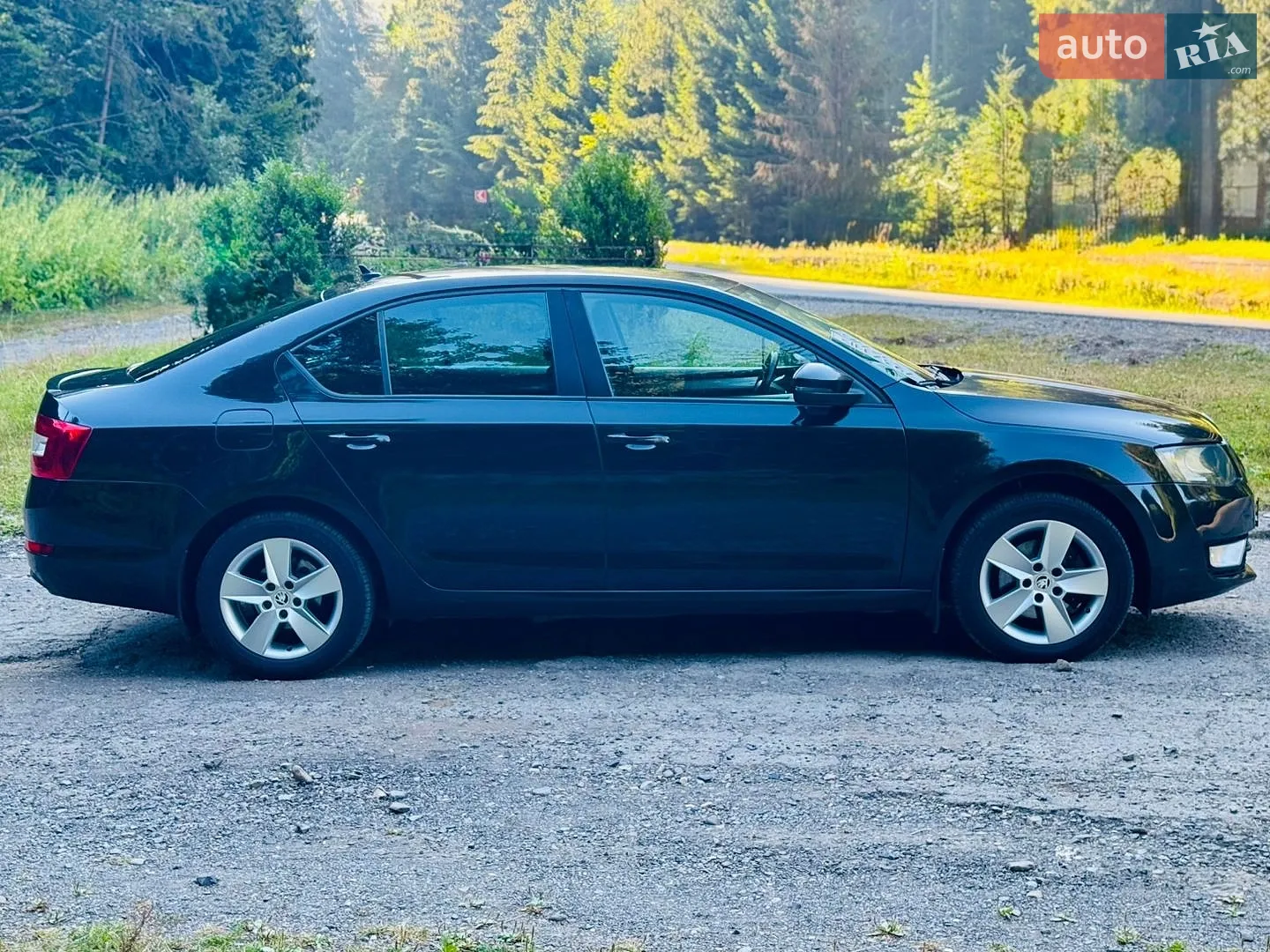 2013 Skoda Octavia - мініатюра 19