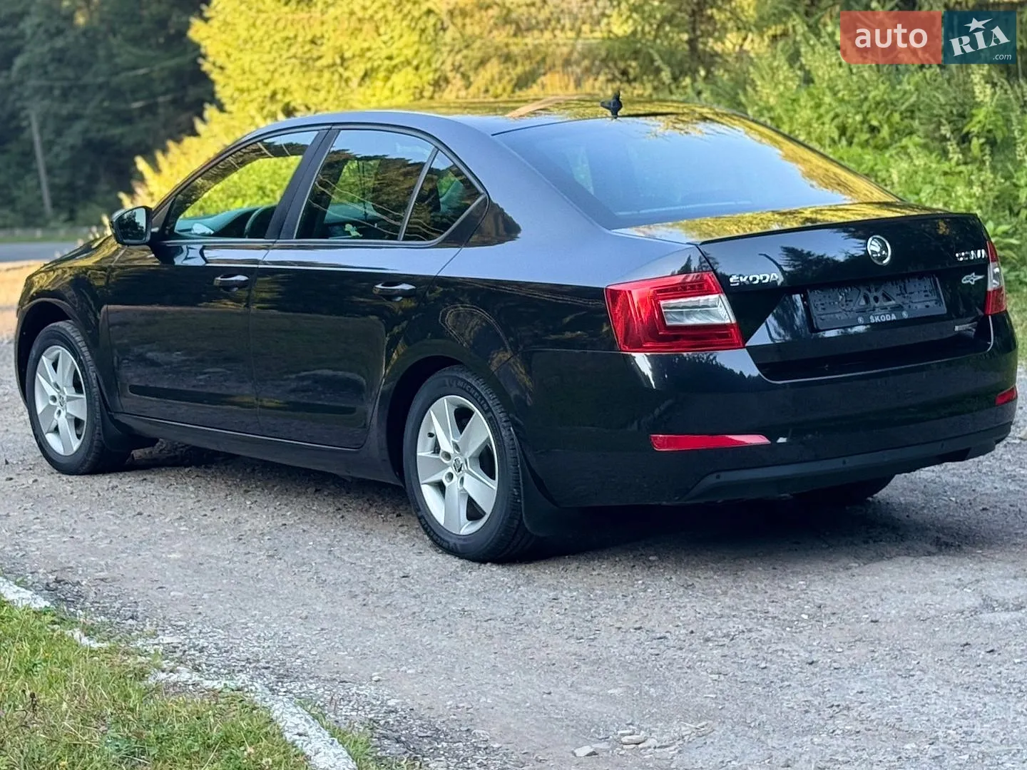 2013 Skoda Octavia - мініатюра 21