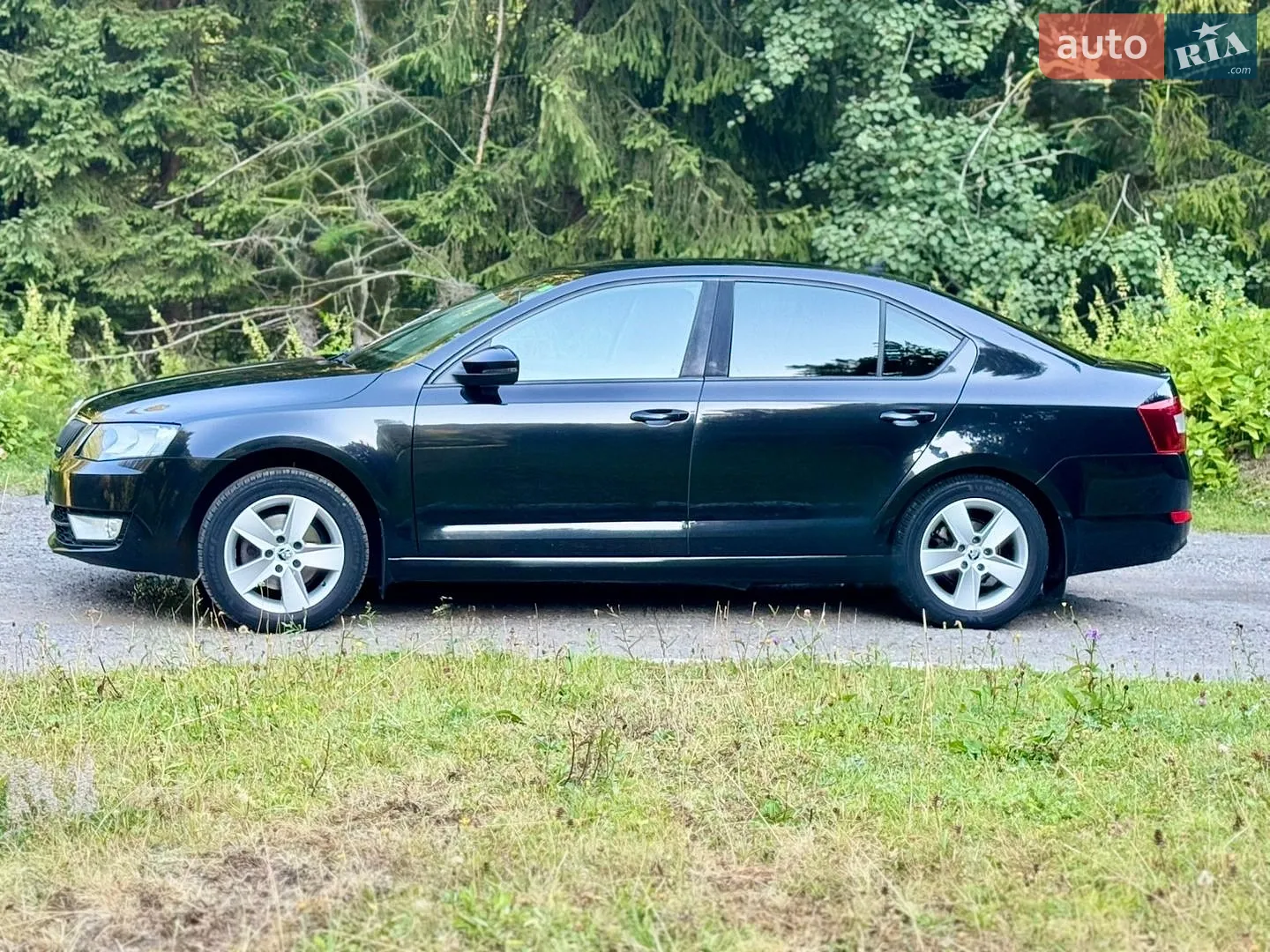 2013 Skoda Octavia - мініатюра 20