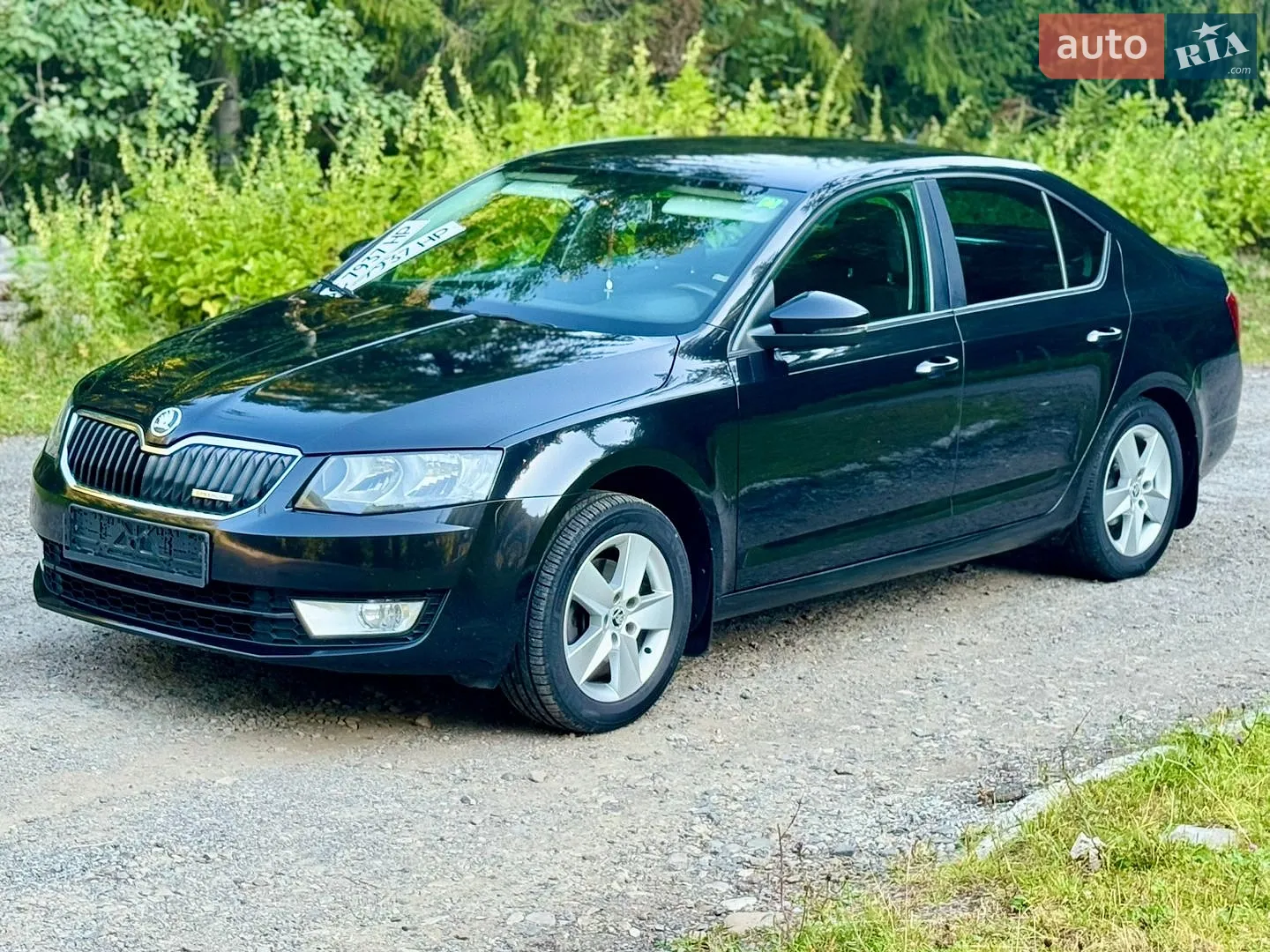2013 Skoda Octavia - мініатюра 24
