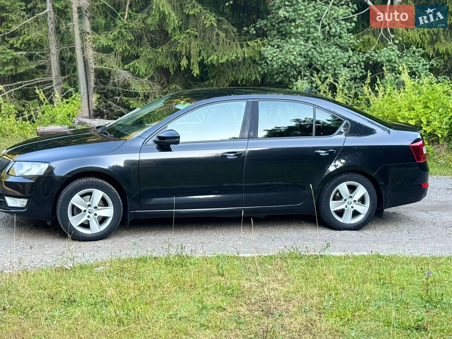 2013 Skoda Octavia - мініатюра 27
