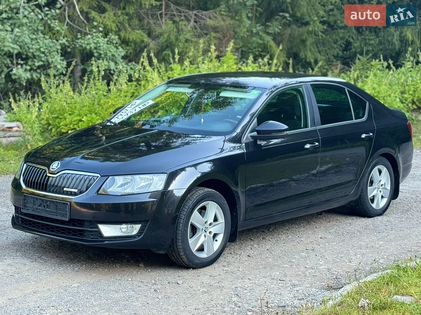 2013 Skoda Octavia - мініатюра 26