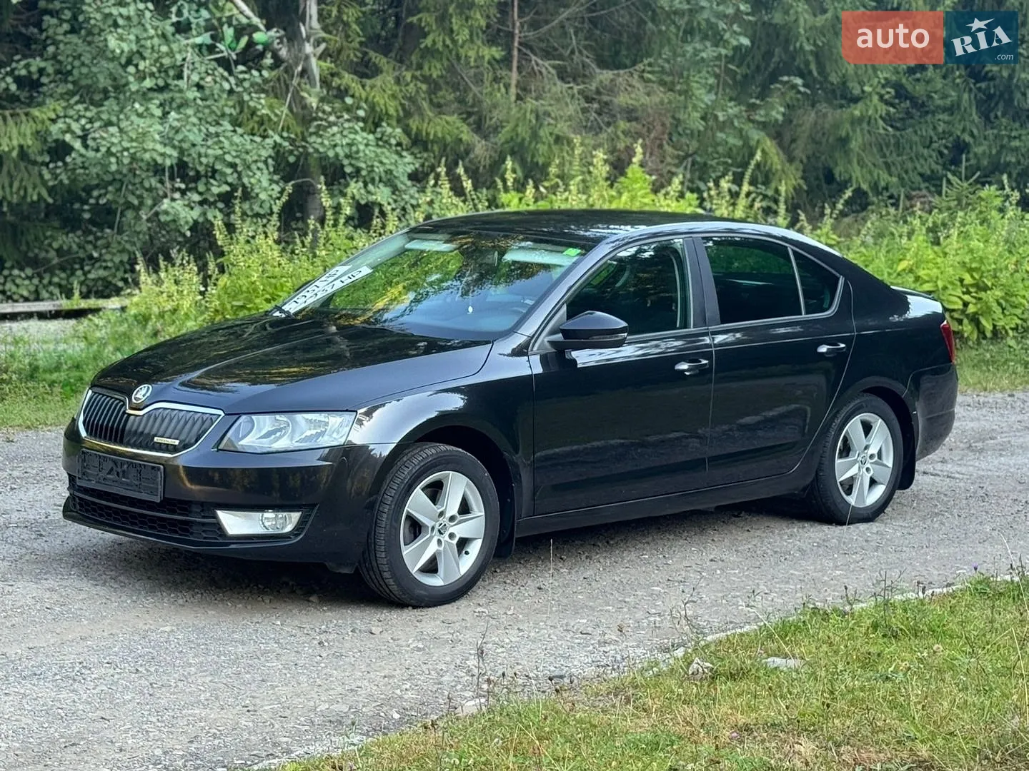 2013 Skoda Octavia - мініатюра 28