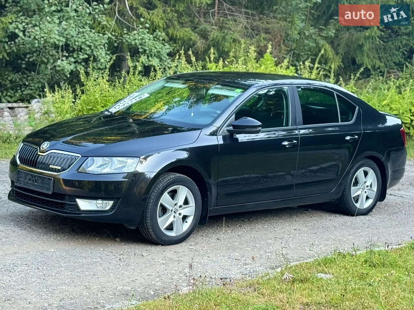 2013 Skoda Octavia - мініатюра 29