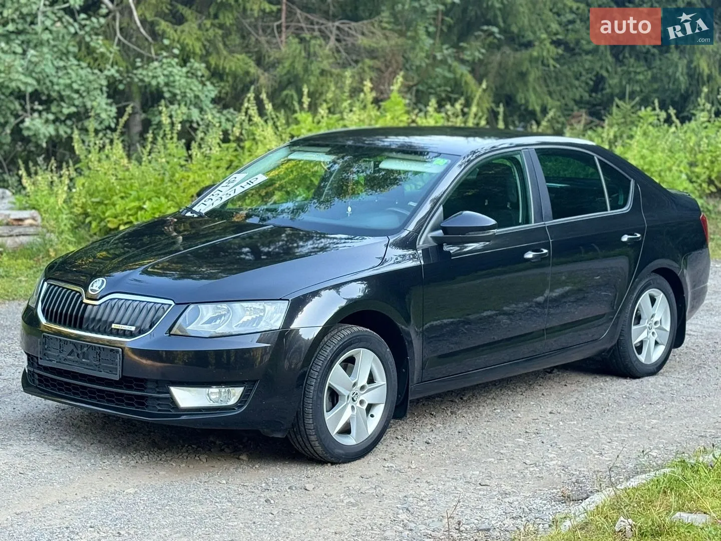 2013 Skoda Octavia - мініатюра 25