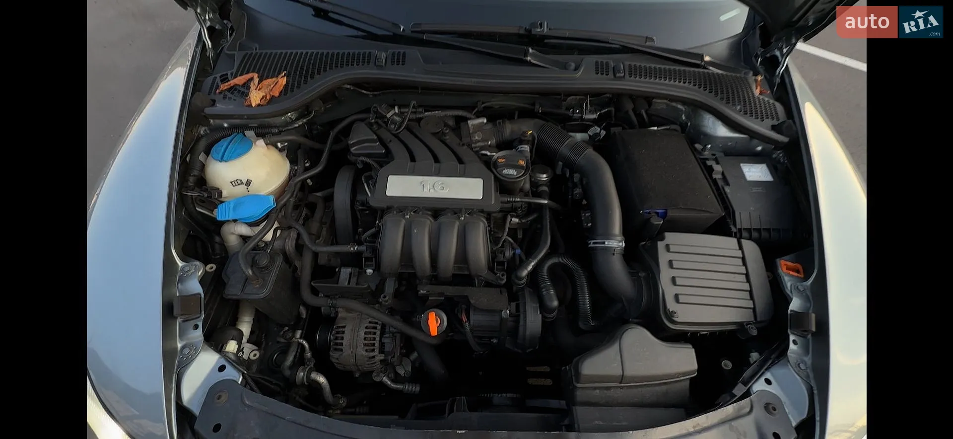 2012 Skoda Octavia - мініатюра 8