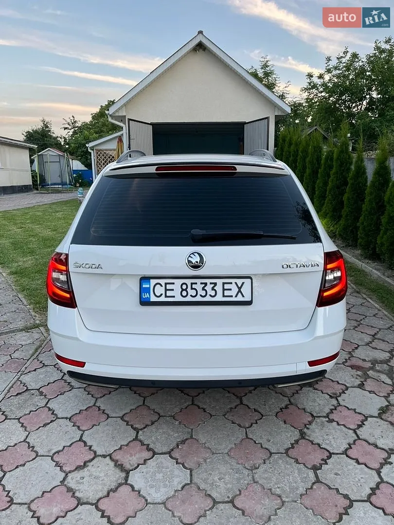 2017 Skoda Octavia - мініатюра 3