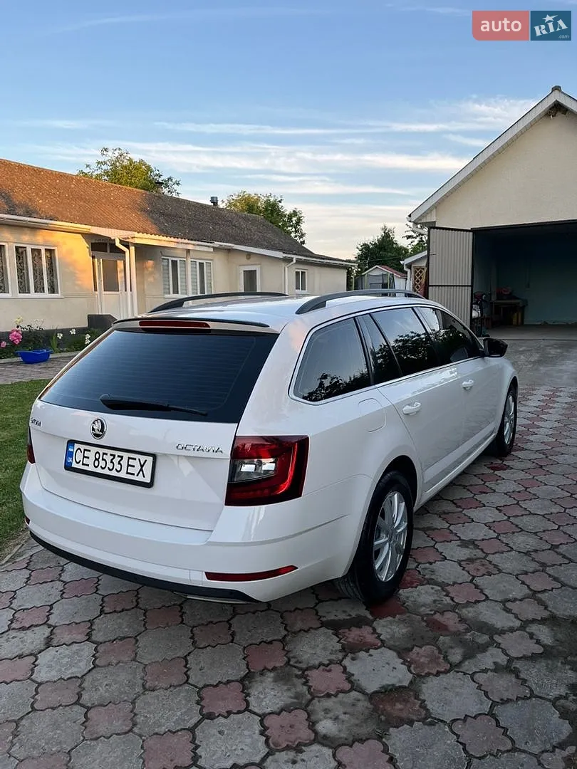 2017 Skoda Octavia - мініатюра 18