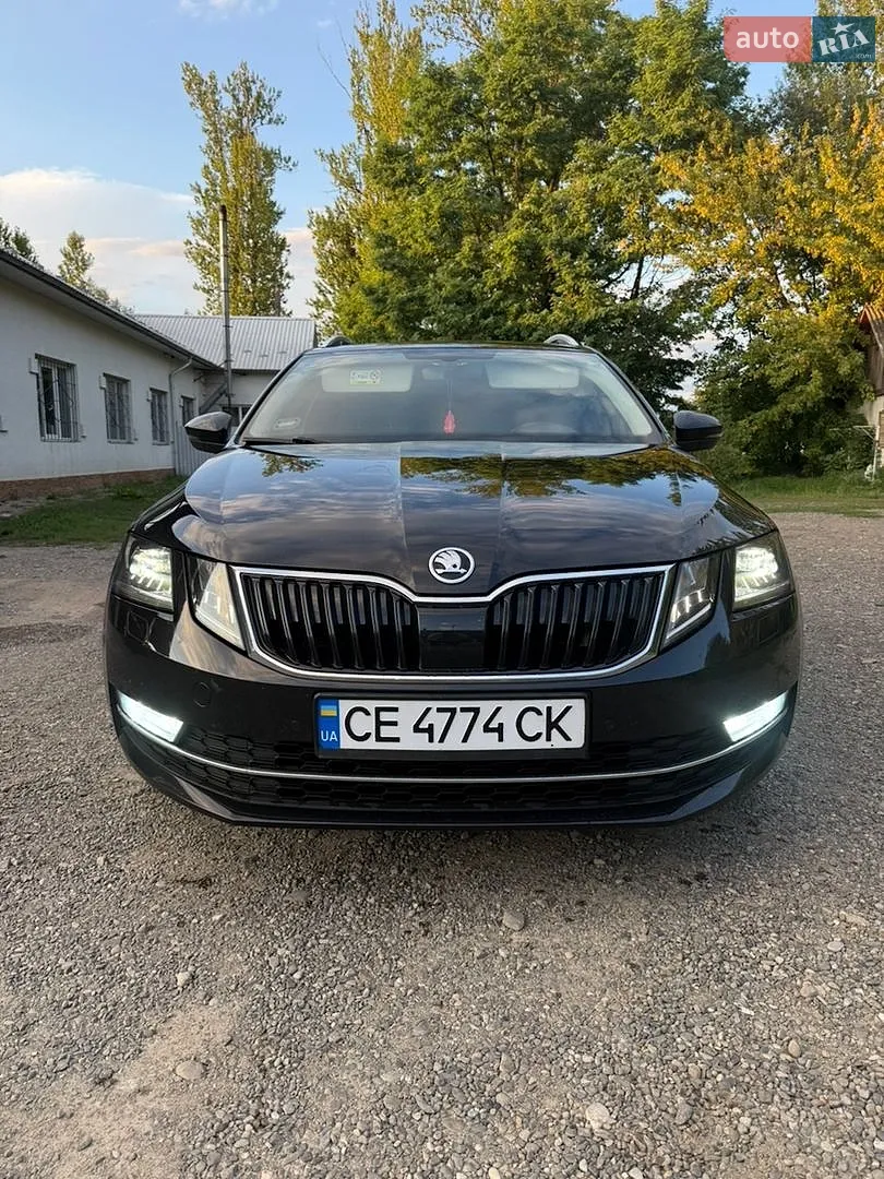 2019 Skoda Octavia - фото 1