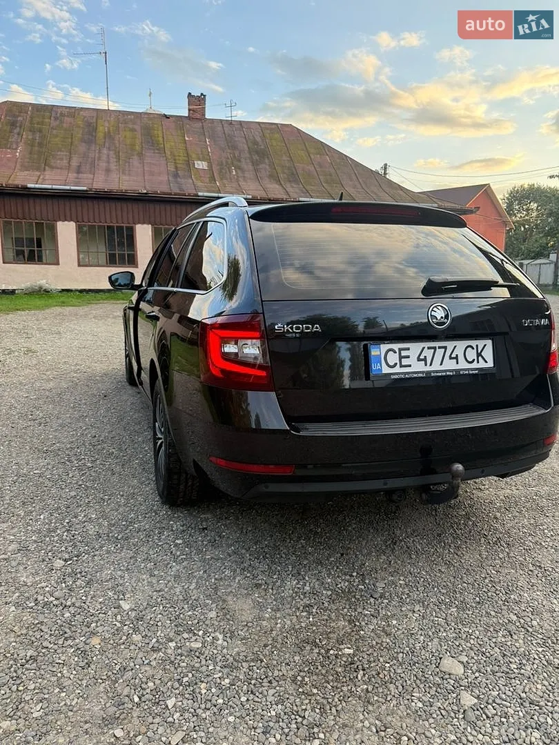 2019 Skoda Octavia - мініатюра 12