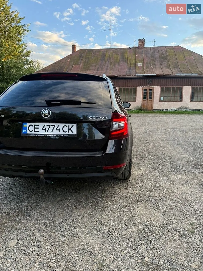 2019 Skoda Octavia - мініатюра 13