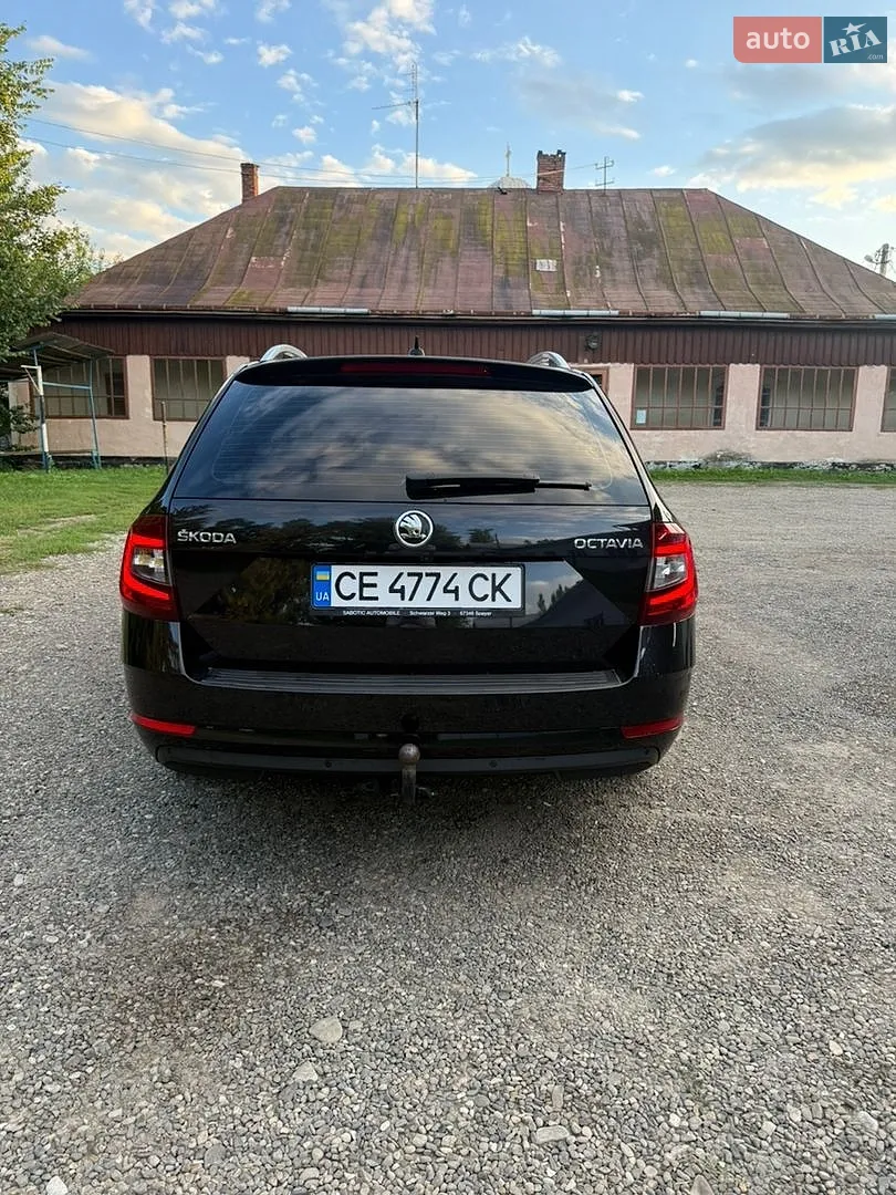 2019 Skoda Octavia - мініатюра 14