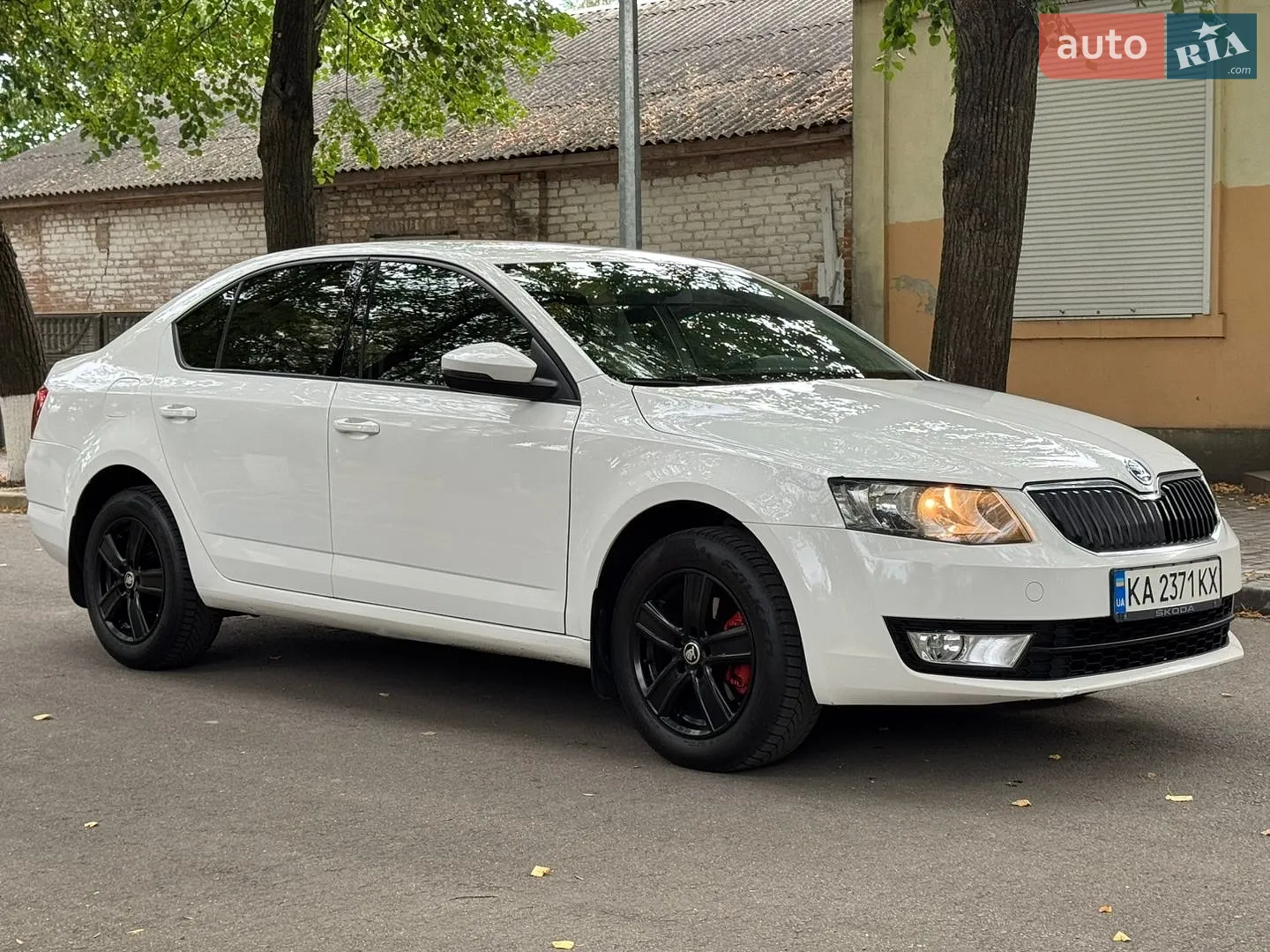 2016 Skoda Octavia - мініатюра 3