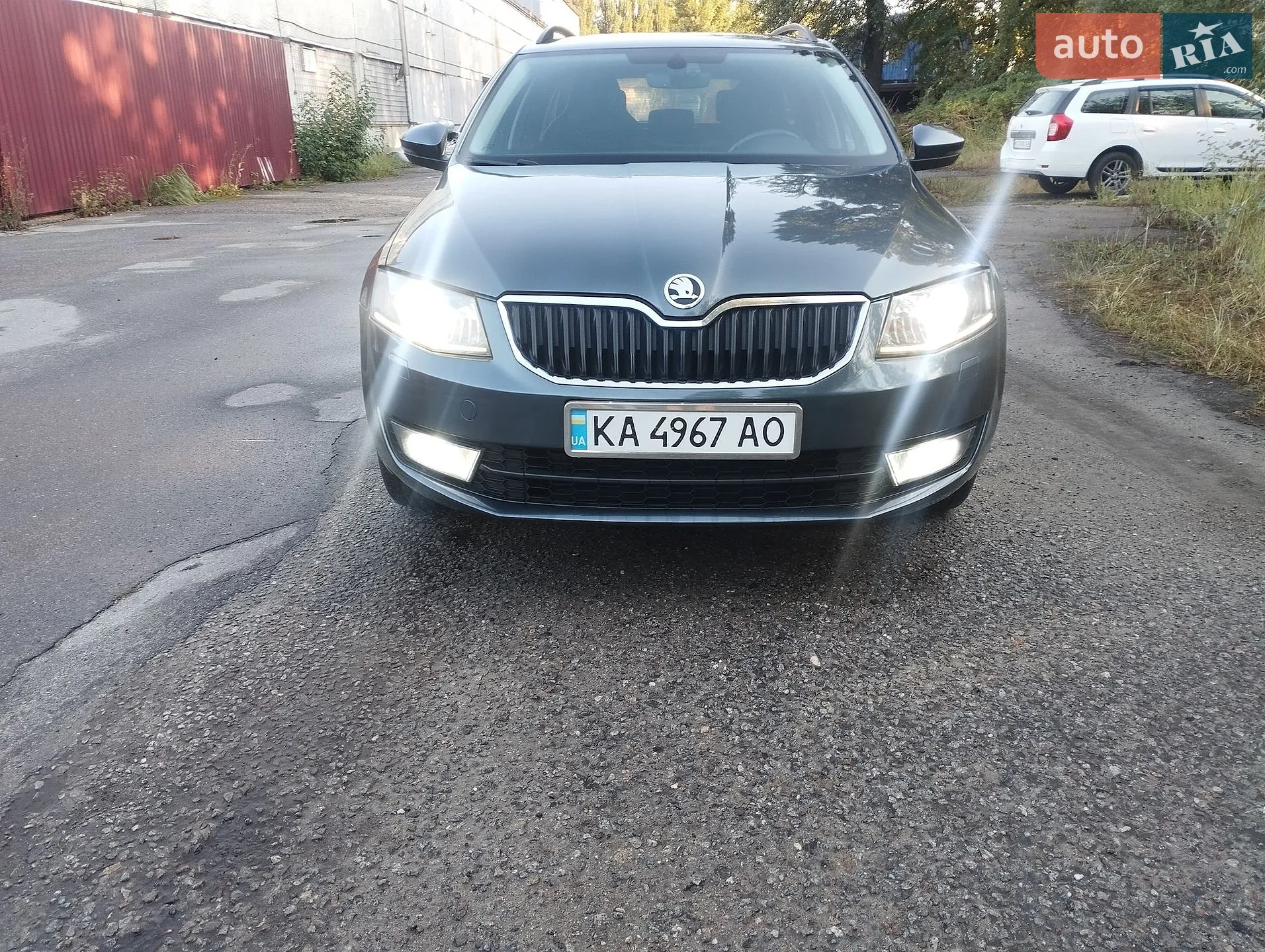 2017 Skoda Octavia - фото 1