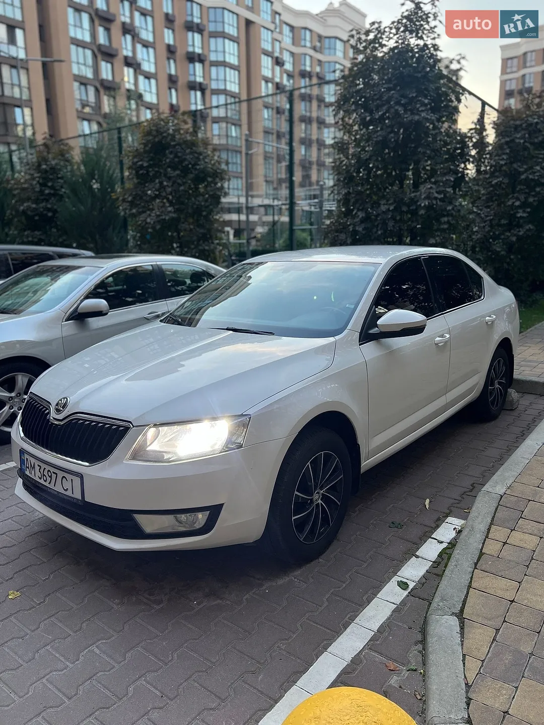 2013 Skoda Octavia - мініатюра 2