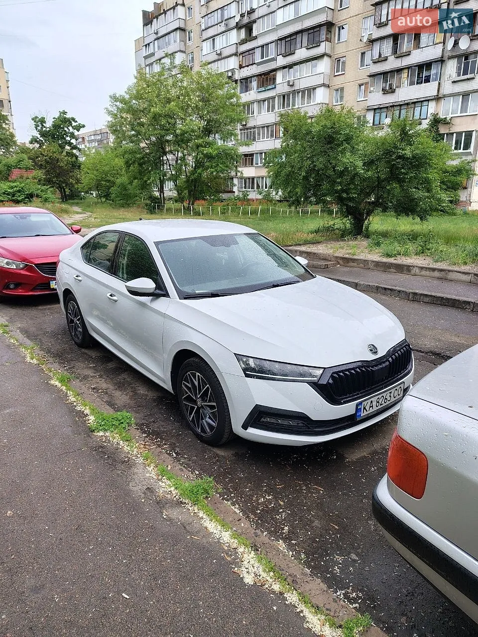 2020 Skoda Octavia - мініатюра 4