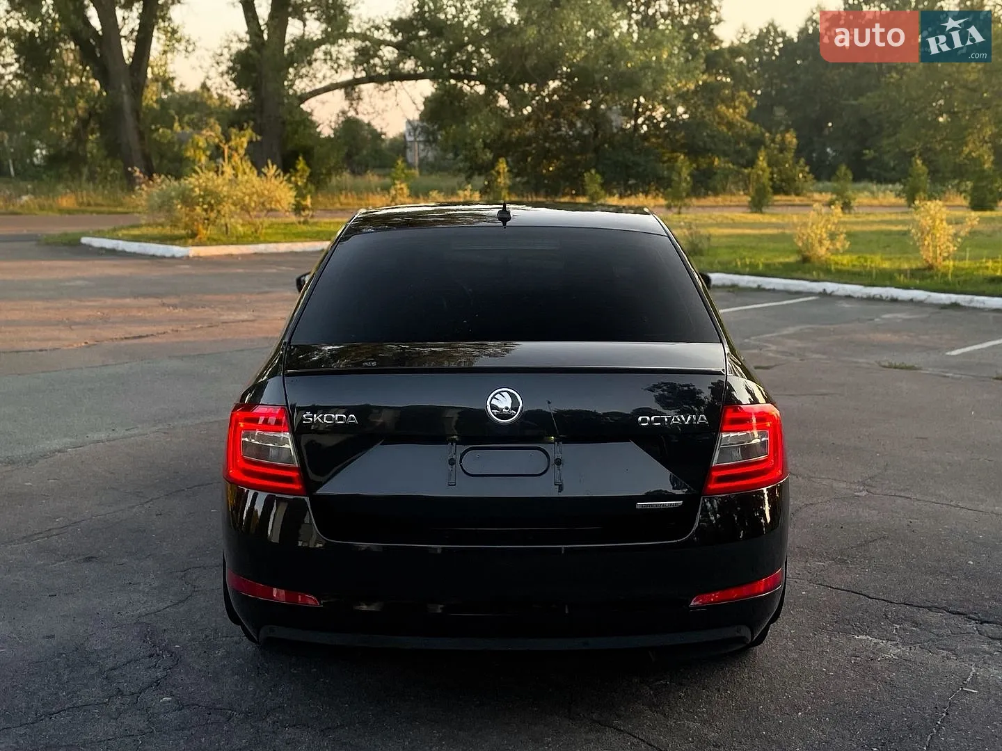2015 Skoda Octavia - мініатюра 5