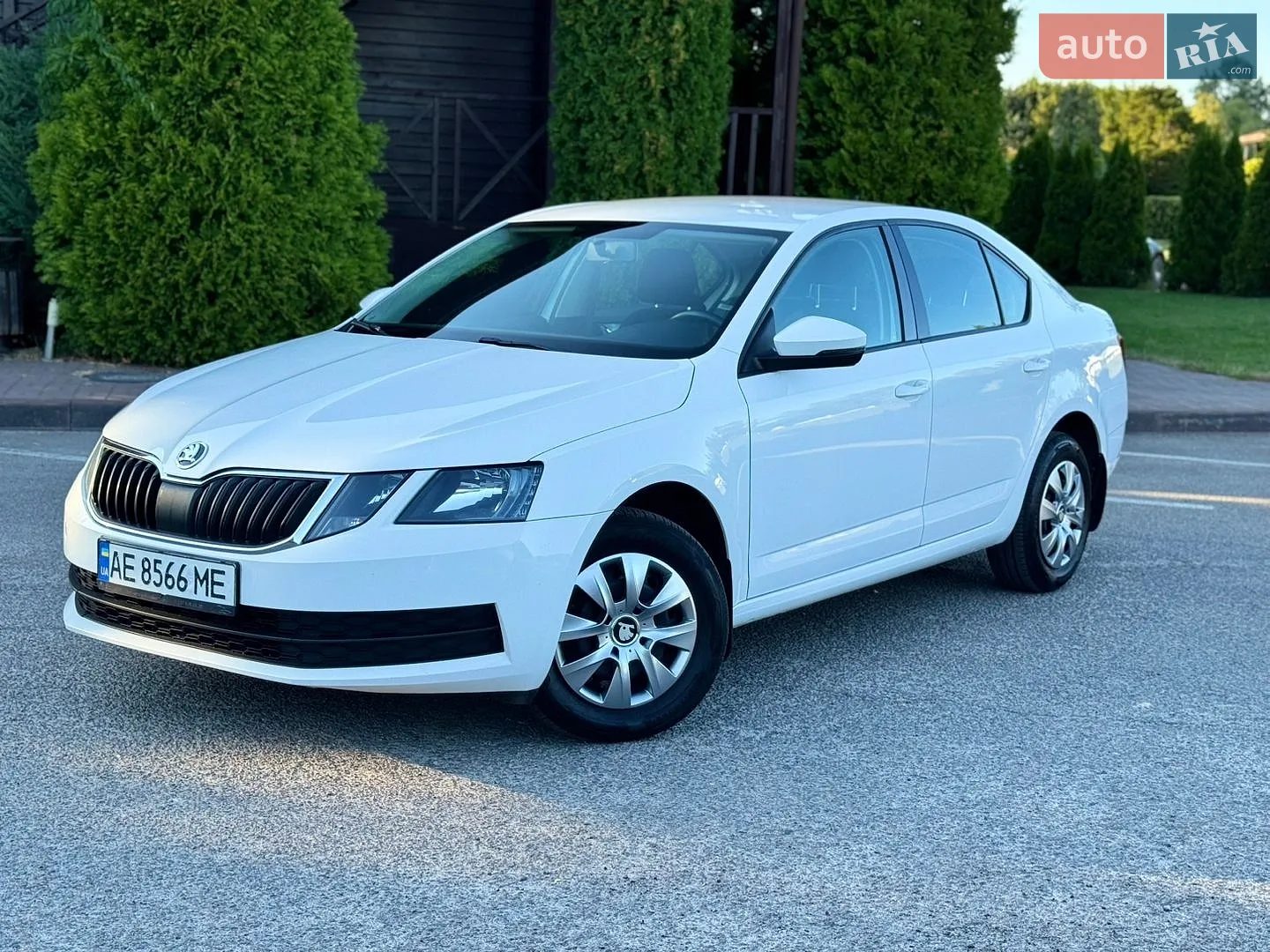 2019 Skoda Octavia - фото 1