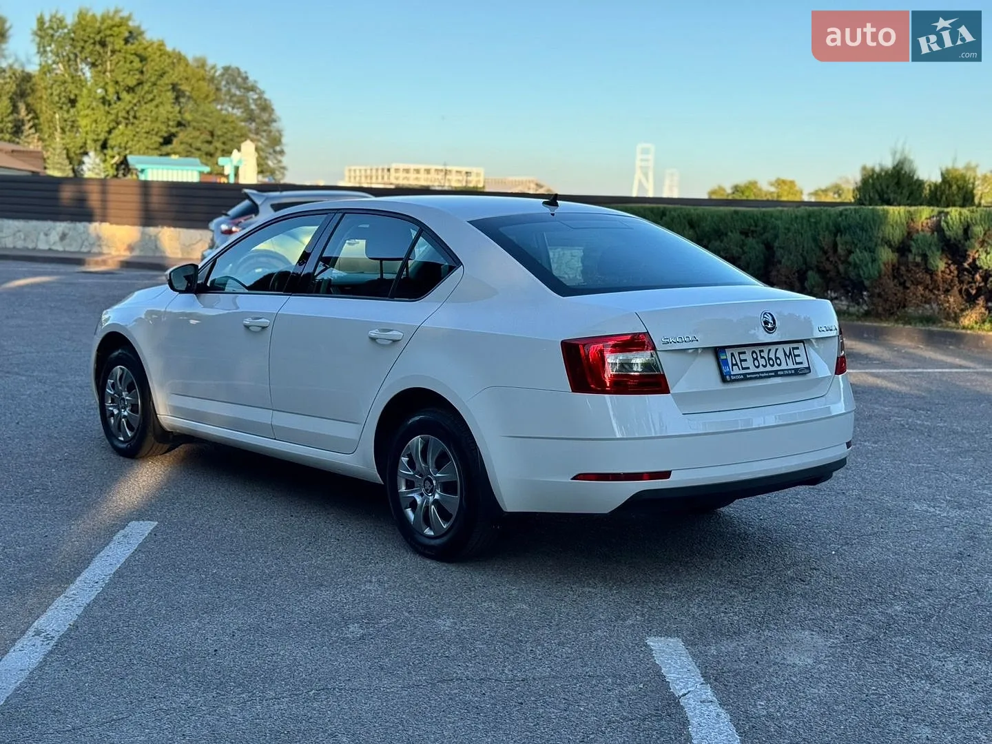2019 Skoda Octavia - мініатюра 4