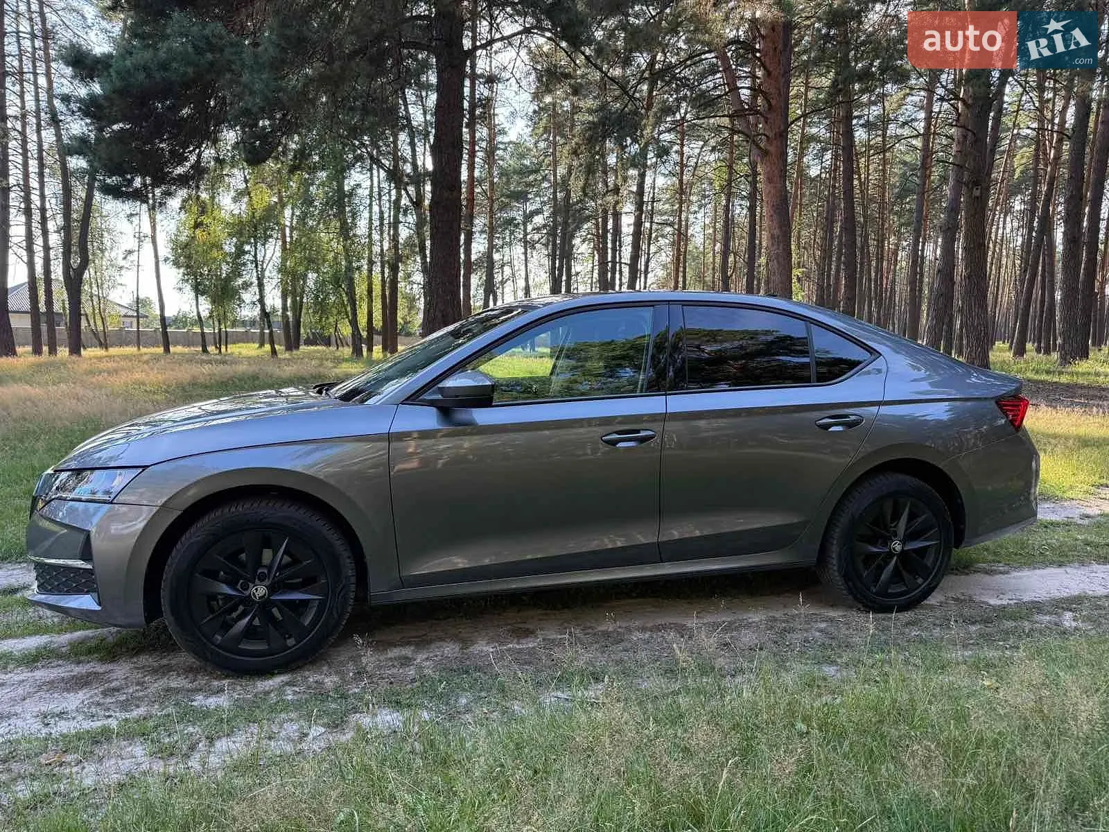 2024 Skoda Octavia - мініатюра 4