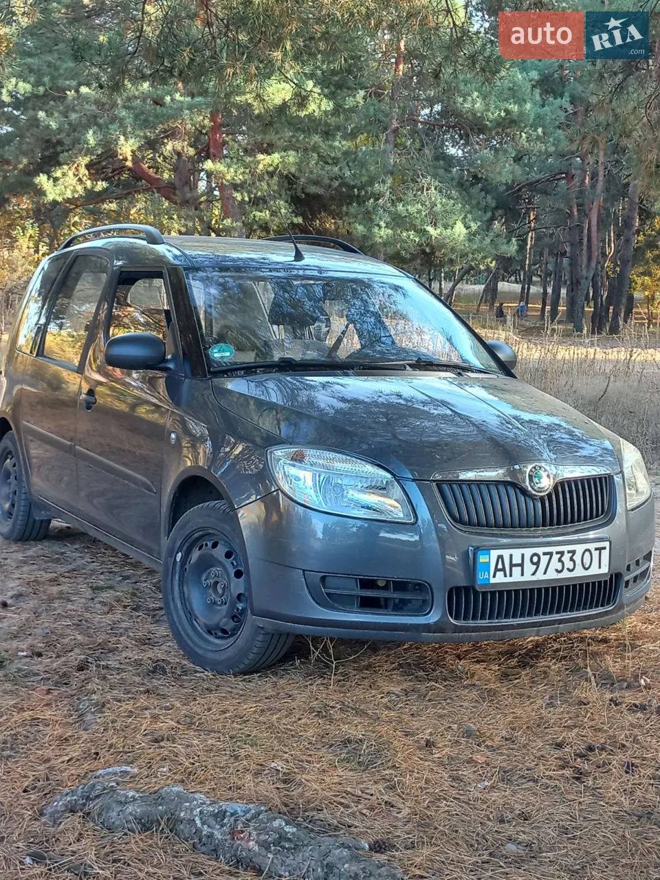 2010 Skoda Roomster - мініатюра 24