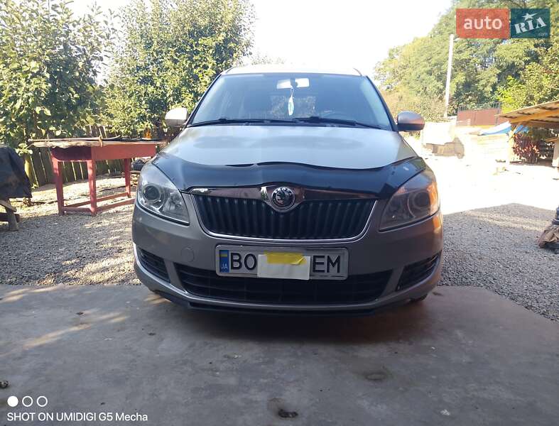 Мікровен Skoda Roomster 2012 в Борщеві