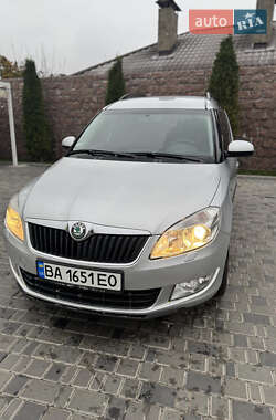Микровэн Skoda Roomster 2014 в Кропивницком
