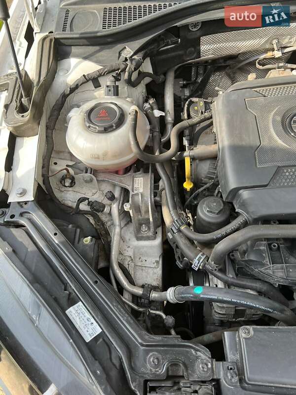 Лифтбек Skoda Superb 2019 в Кривом Роге фото 25 Лифтбек Skoda Superb 2019 в Кривом Роге