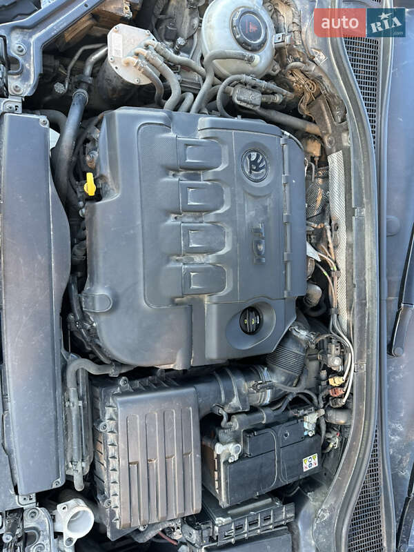 Лифтбек Skoda Superb 2018 в Звягеле