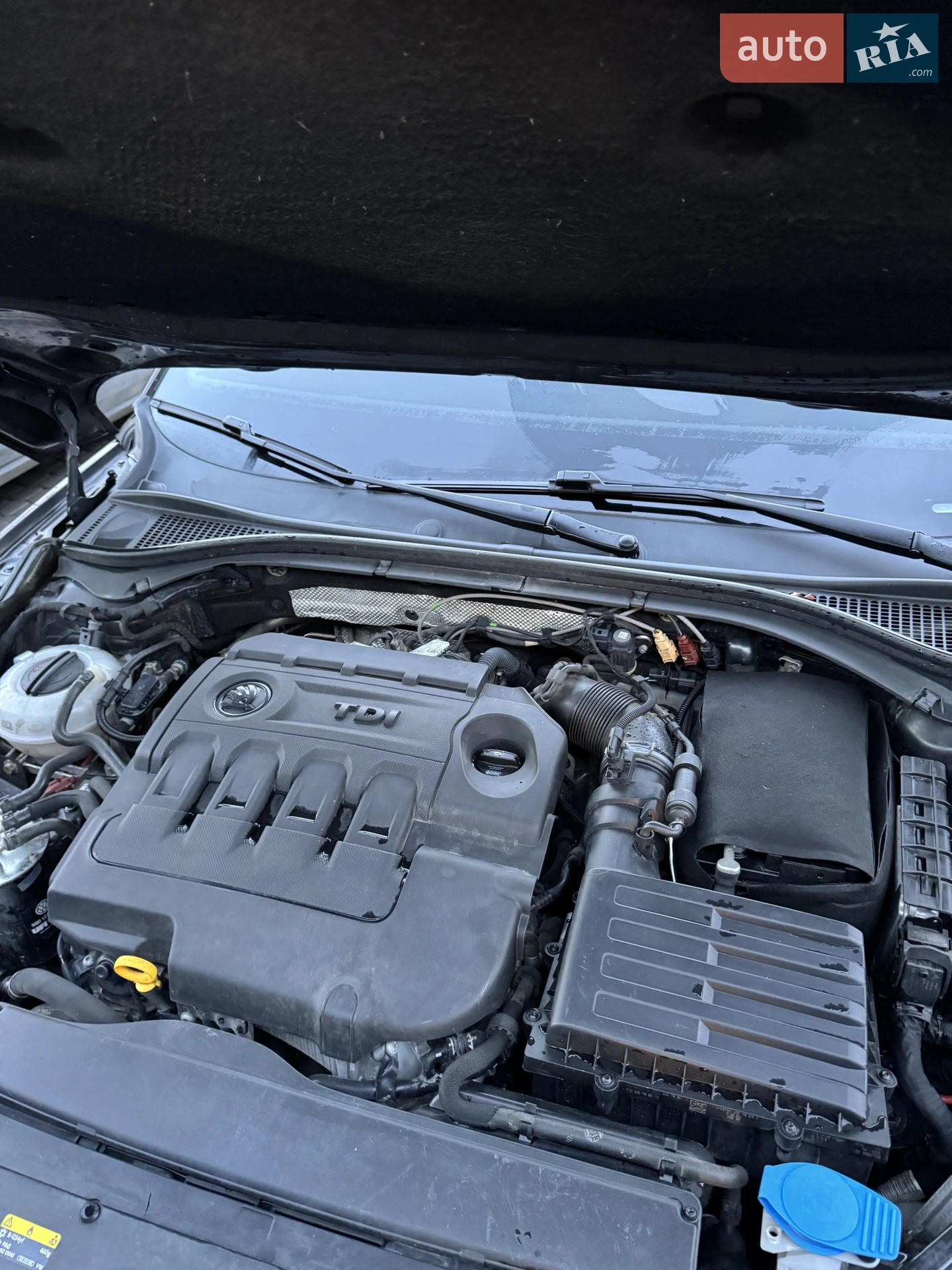 2016 Skoda Superb - мініатюра 27