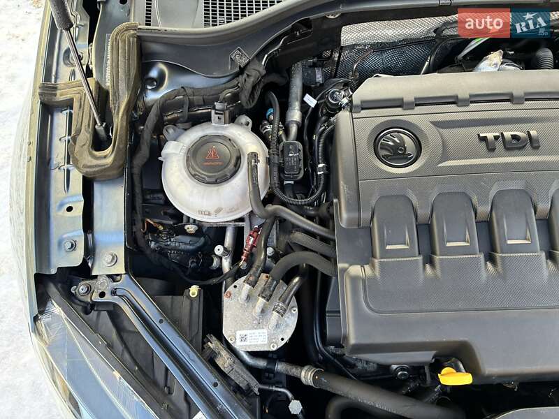 Универсал Skoda Superb 2019 в Киеве фото 84 Универсал Skoda Superb 2019 в Киеве