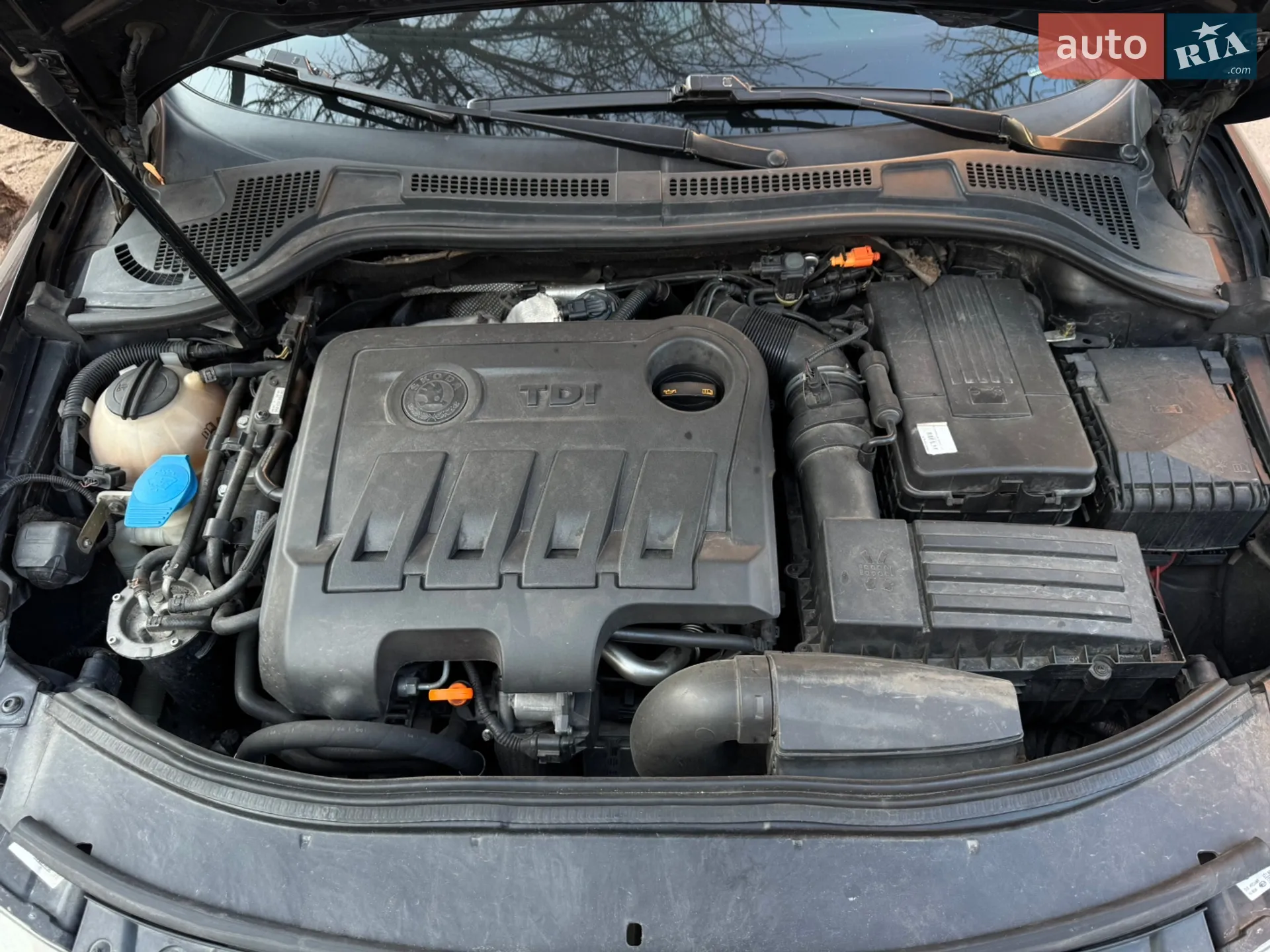 2010 Skoda Superb - мініатюра 11