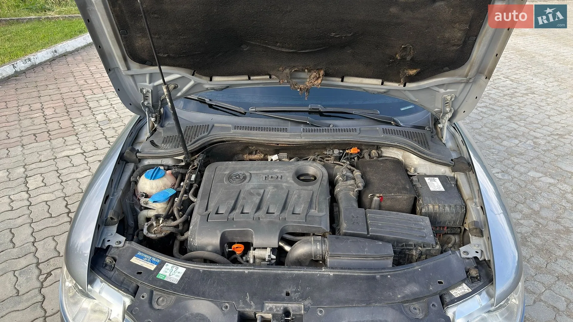 2011 Skoda Superb - мініатюра 9