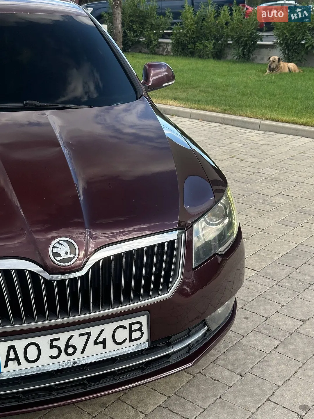 2013 Skoda Superb - мініатюра 11