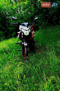 Мотоцикл Спорт-туризм Spark SP 200R-29 2023 в 