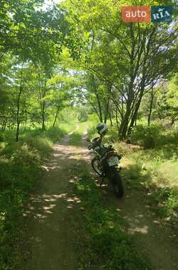 Мотоцикл Внедорожный (Enduro) Spark SP 250D-1 2021 в 