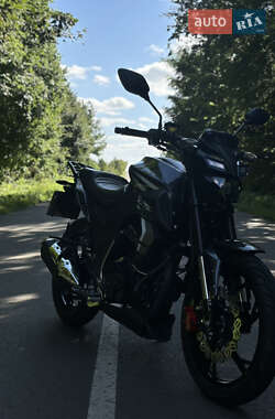 Мопеди Spark SP 250R-33 2024 в 