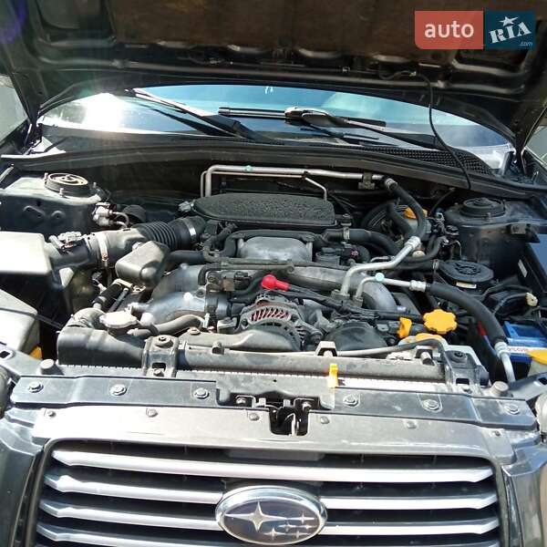 Внедорожник / Кроссовер Subaru Forester 2007 в Святопетровское фото 8 Внедорожник / Кроссовер Subaru Forester 2007 в Святопетровское
