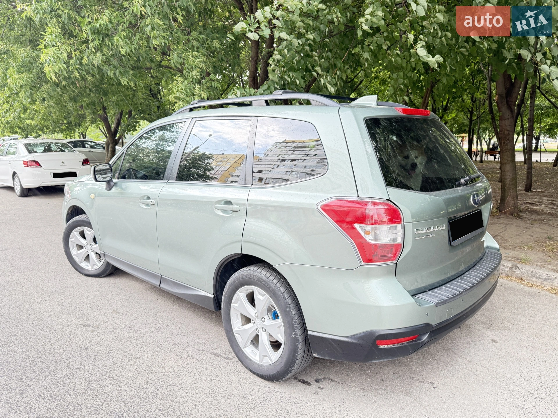 2015 Subaru Forester - мініатюра 2