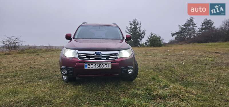 Внедорожник / Кроссовер Subaru Forester 2008 в Николаеве