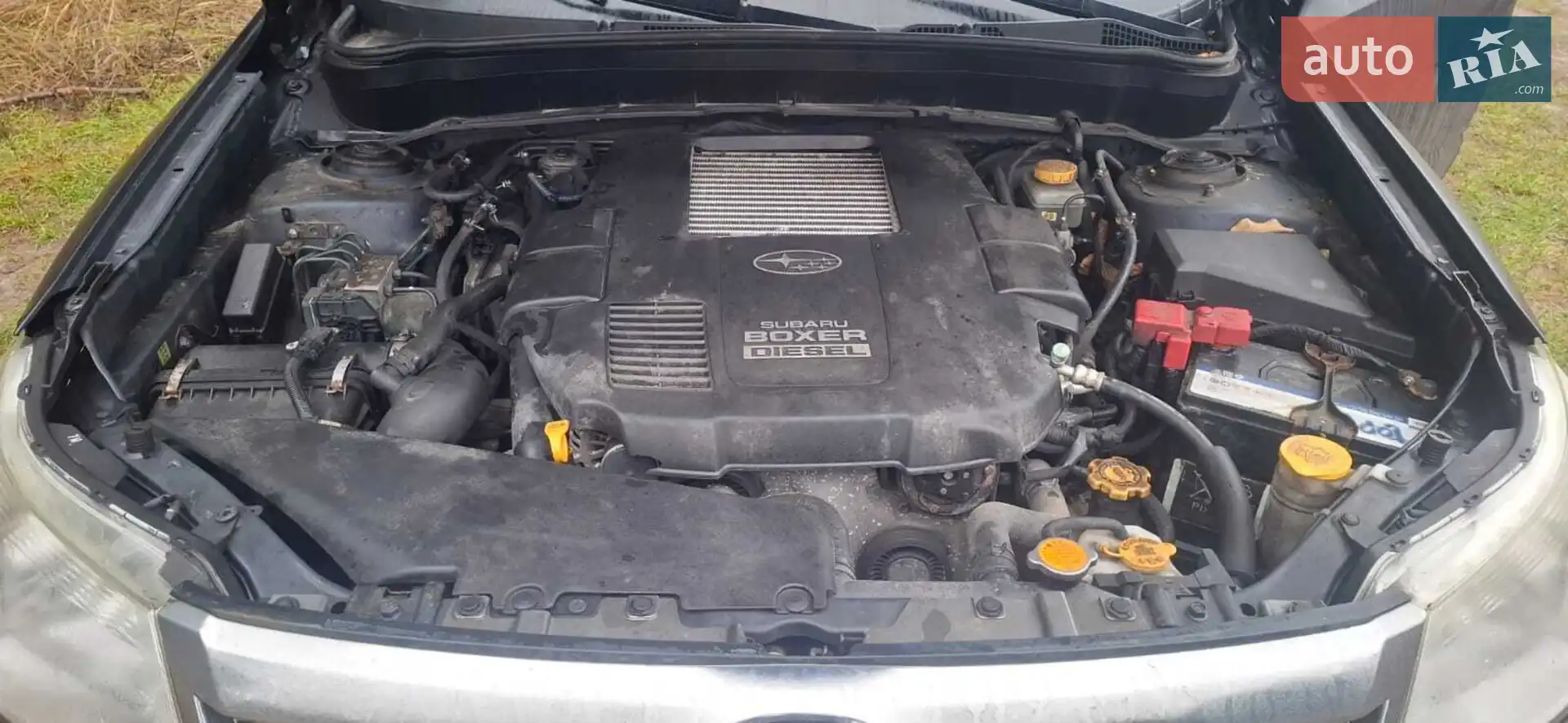 2010 Subaru Forester - мініатюра 3